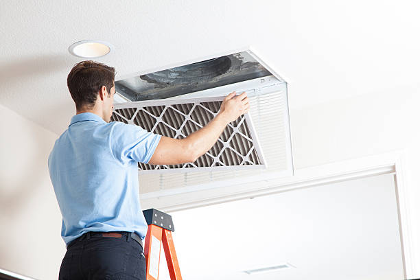 Best HVAC Air Duct Cleaning  in East Lake, FL